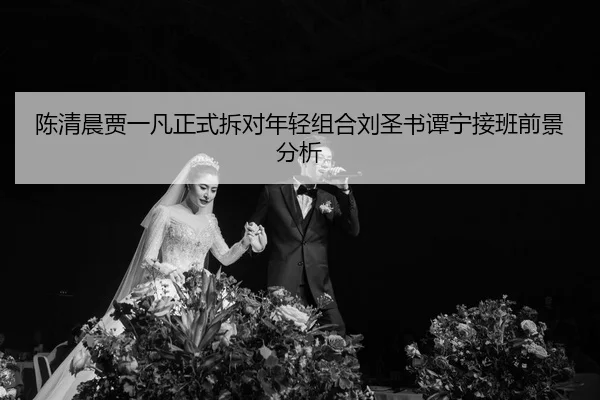 chen-qing-chen-jia-yi-fan-zheng-shi-chai-dui-nian-qing-zu-he-liu-sheng-shu-tan-ning-jie-ban-qian-jing-fen-xi-3-146.jpg